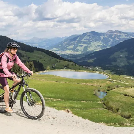 Sonnkogl Вильдшёнау