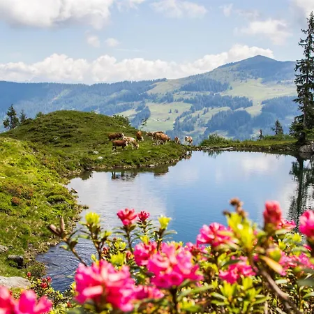 Sonnkogl Апартаменты Вильдшёнау