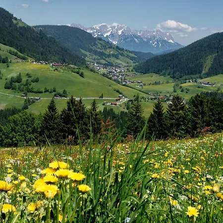 Sonnkogl Апартаменты Вильдшёнау